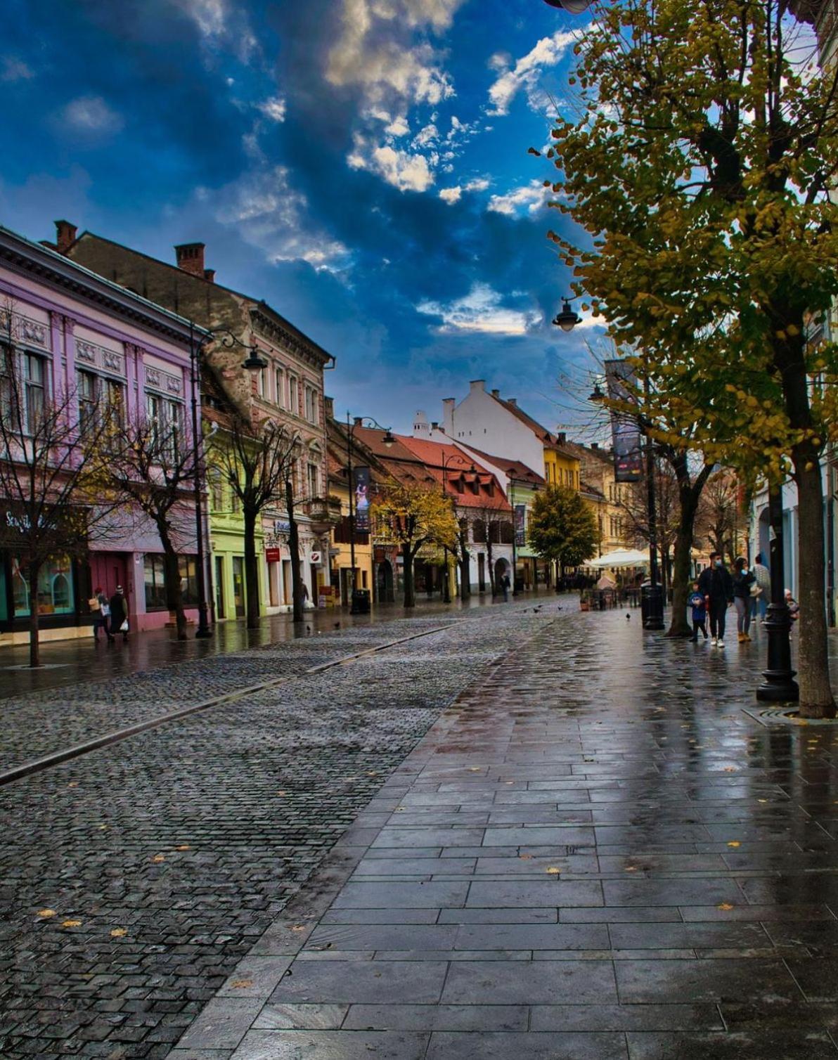 Phoenix Central Apartments Sibiu Buitenkant foto