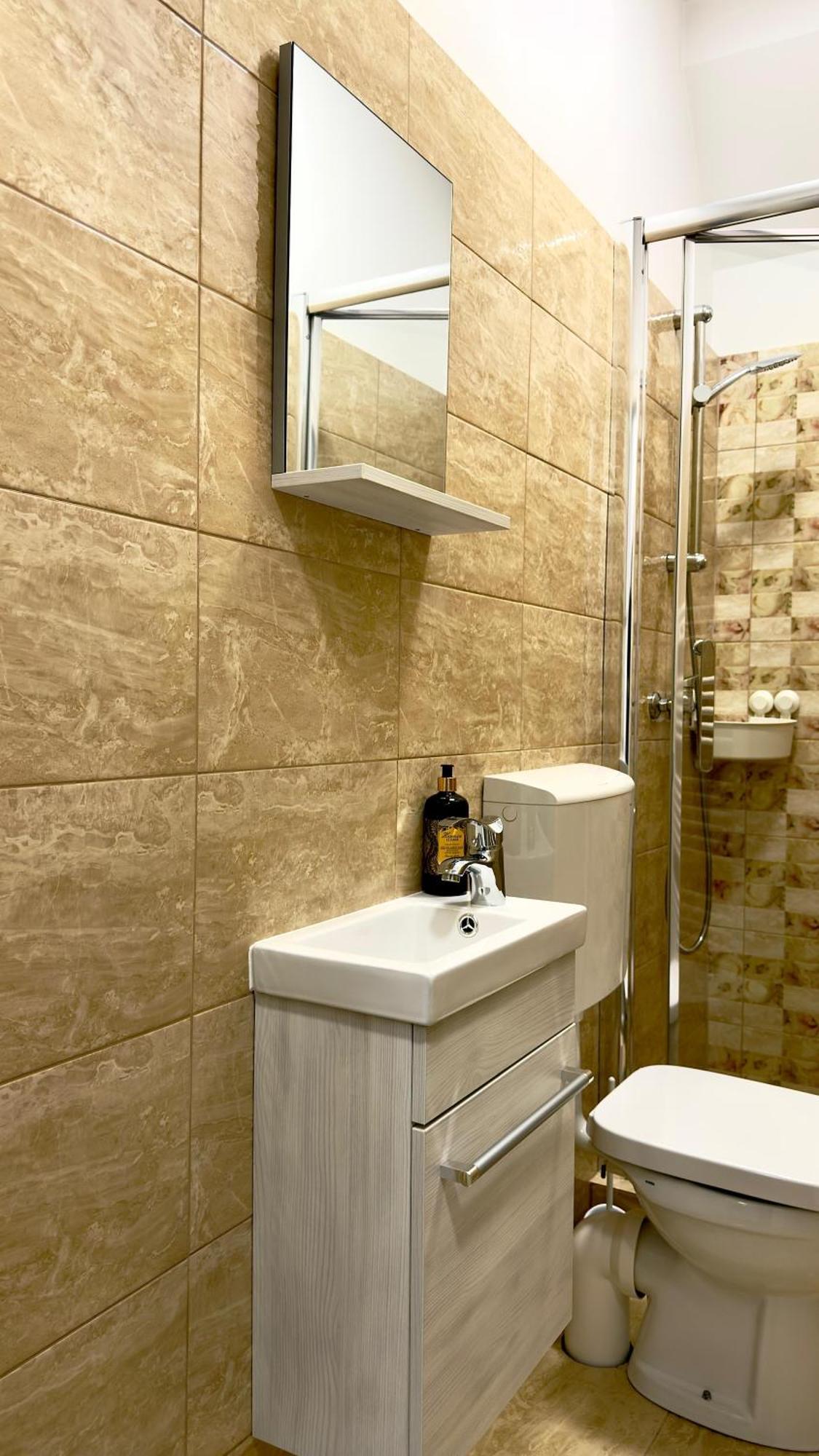 Phoenix Central Apartments Sibiu Buitenkant foto